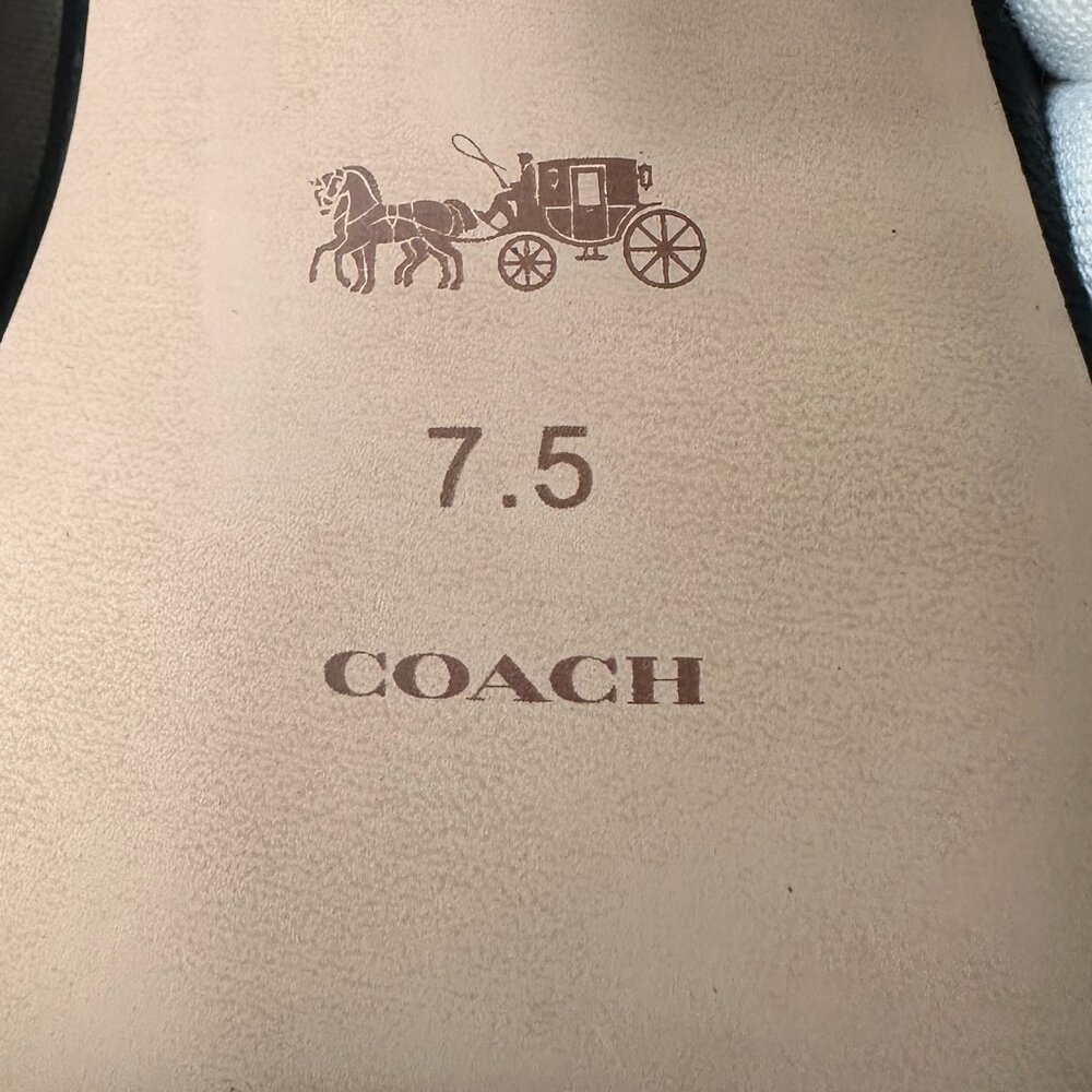 COACH | Grey Snakeskin Sculpted C Kitten Heels  with Square Toe  7.5- Elegant - Picture 10 of 13